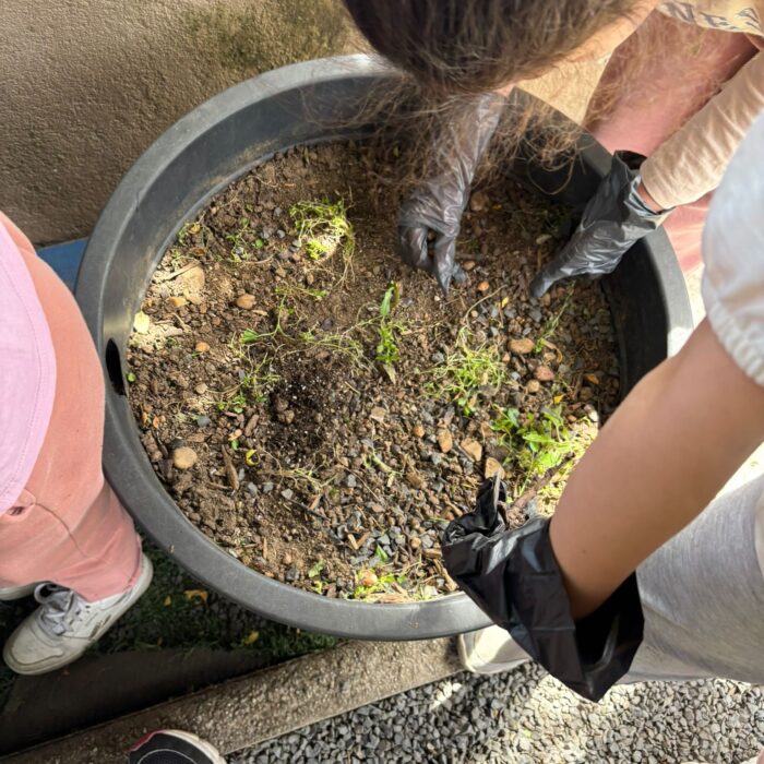 JARDINAGE