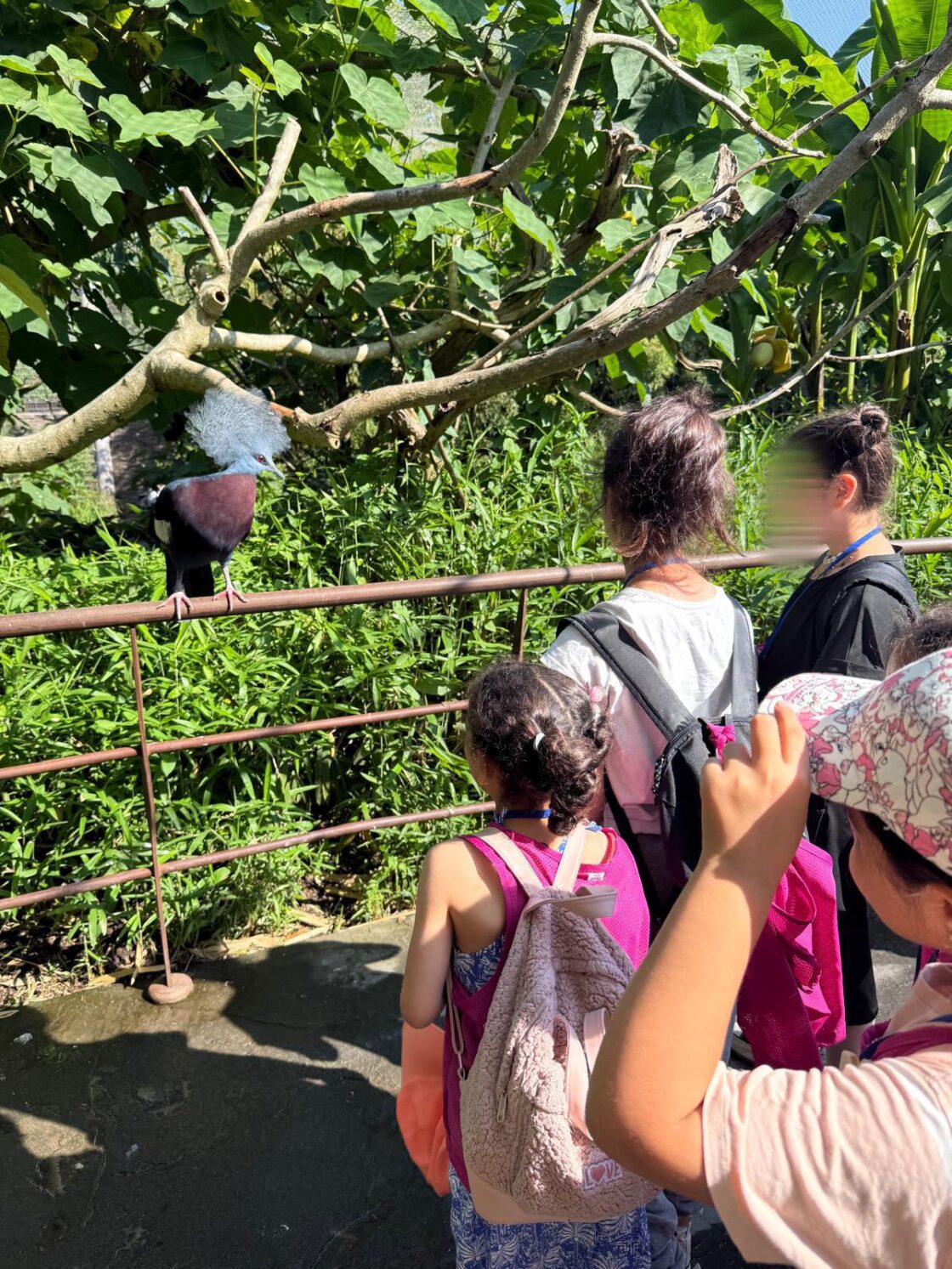 Sortie aux parc des oiseaux